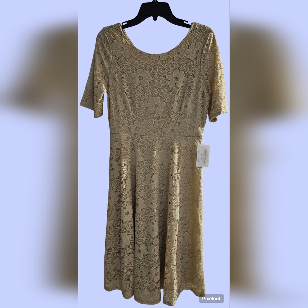 NWT Nee See's Dresses Boutique Elegant Cream Colored Lace  Dress Size Large